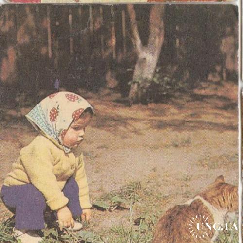 Календарик 1991 Госстрах, кошка
