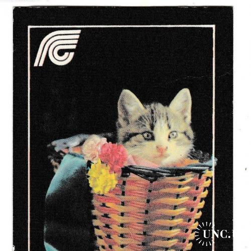 Календарик 1991 Госстрах, кошка
