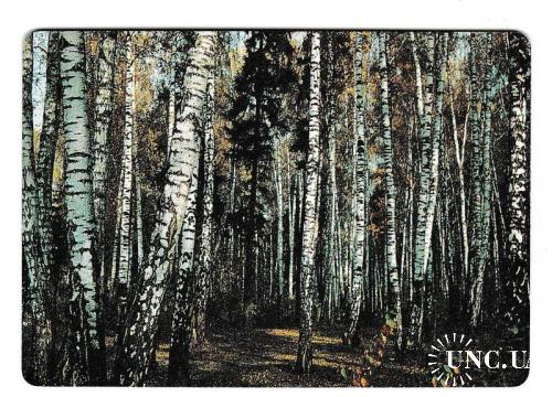 Календарик 1991 Ингосстрах, природа, лес ПЛАСТИК