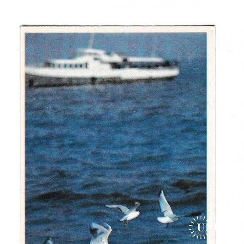 Календарик 1991 Катер, чайки, с линейкой, Азербайджан
