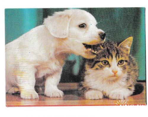 Календарик 1991 Кошка, собака
