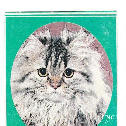 Календарик 1991 Кошка
