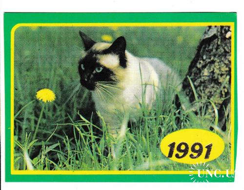 Календарик 1991 Кошка
