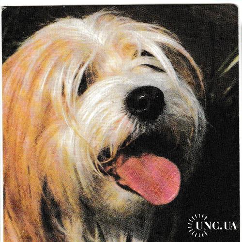 Календарик 1991 Собака
