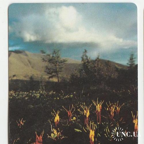 Календарик 1991 Востокинторг, цветы, горы, ПЛАСТИК