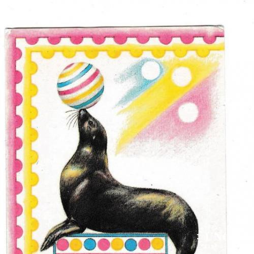 Календарик 1992 Фауна, филателия, морской лев
