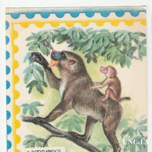 Календарик 1992 Фауна, обезьяны, филателия

