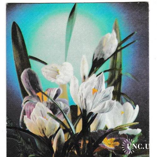Календарик 1992 Флора, цветы
