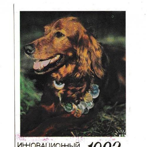 Календарик 1992 Собака, изд. Ульяновская Правда, с линейкой
