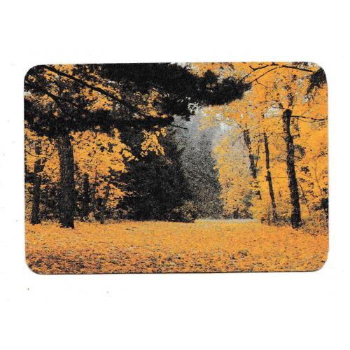 Календарик 1993 Природа, осінь