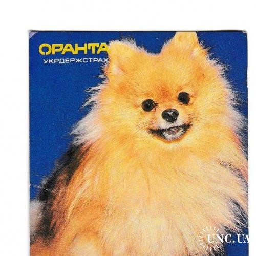 Календарик 1993 Собака, страхование, Оранта
