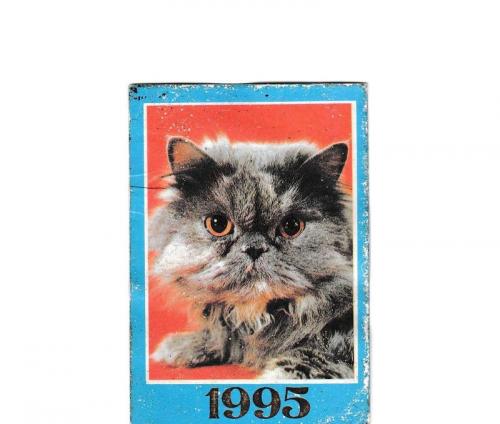 Календарик 1995 Кошка
