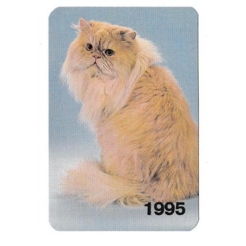 Календарик 1995 Кошка