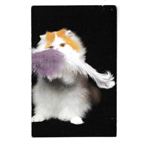 Календарик 1996 Кошка