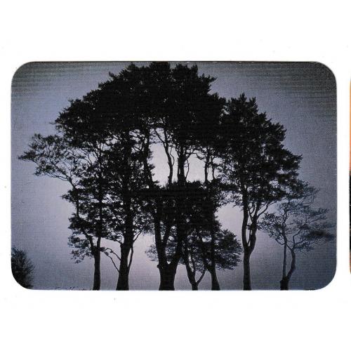 Календарик 1997 Дерева, природа