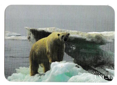 Календарик 1997 Фауна, Белый медведь
