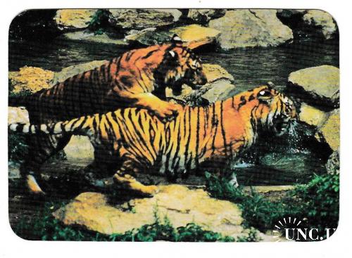 Календарик 1997 Фауна, тигр
