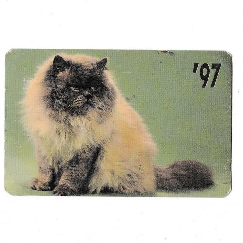 Календарик 1997 Кошка