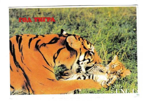 Календарик 1998 Тигр, фауна, Год Тигра
