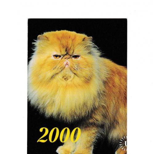 Календарик 2000 Кошка
