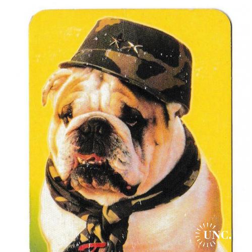 Календарик 2001 Собака, речёвки, Граница на замке

