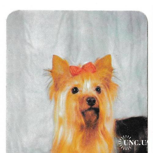Календарик 2001 Собака
