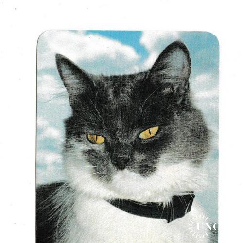Календарик 2002 Кошка
