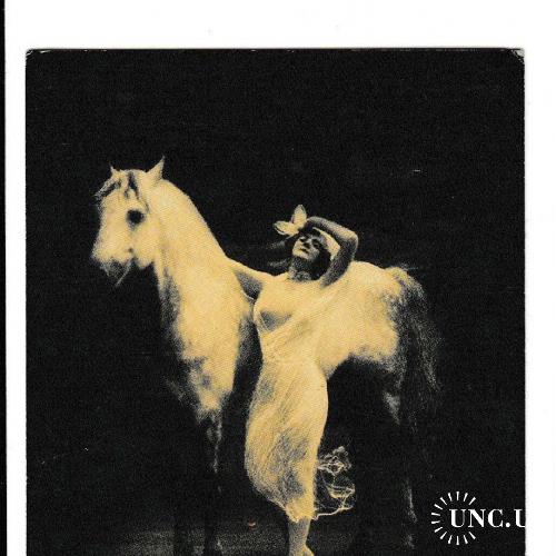 Календарик 2003 Пресса, издательство, лошадь
