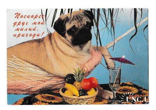 Календарик 2005 Собака, речёвки
