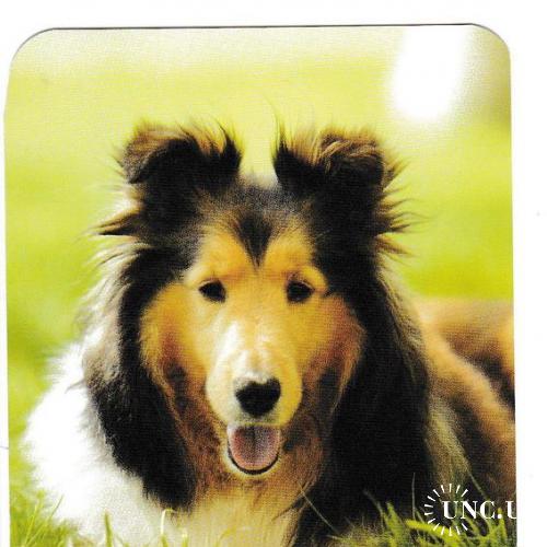 Календарик 2010 Собака
