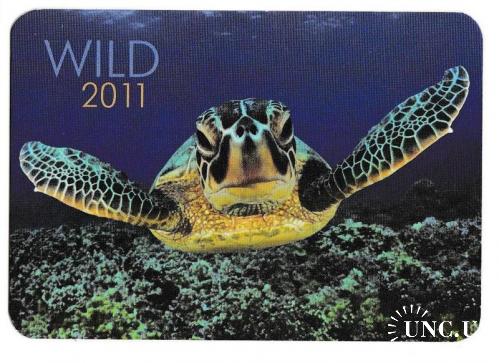 Календарик 2011 Фауна, черепаха

