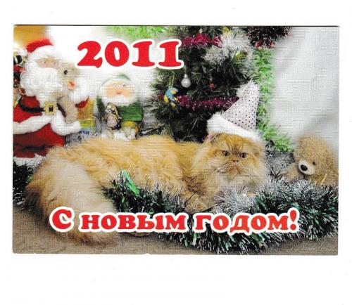 Календарик 2011 Кошка, С Новым Годом!
