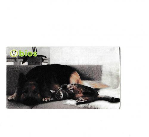 Календарик 2012 Кошка, собака, ветеринар
