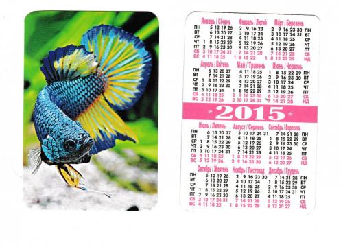 Календарик 2015 Фауна, Рыба
