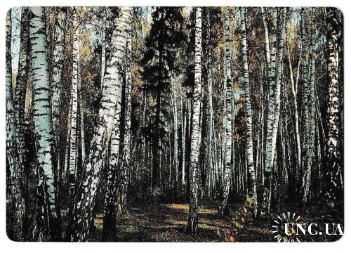 Календарик ПЛАСТИК 1991 Ингосстрах, лес, природа