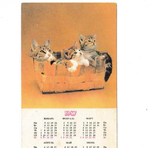 Календарик закладка 1987 Кошки, Госстрах
