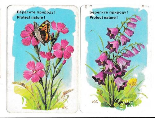 Календарики 1984 Аэрофлот, цветы, Берегите природу!