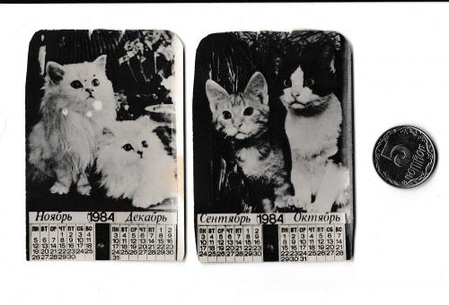 Календарики 1984 Фото СССР, Кошки
