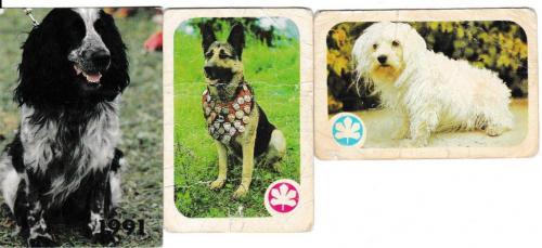 Календарики 1987 1991 Собаки
