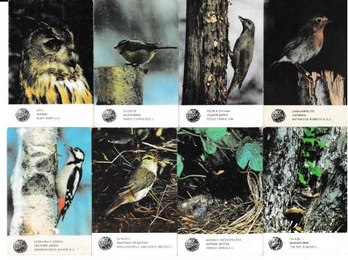 Календарики 1987 Птицы, Латвия
