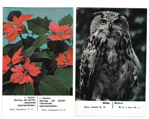 Календарики 1988 Флора, фауна, Ботанический сад, филин, Беларусь
