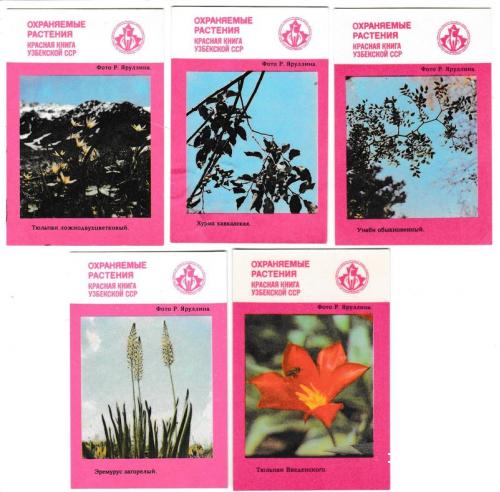 Календарики 1989 Красная Книга Узбекской ССР, Охраняемые растения, флора
