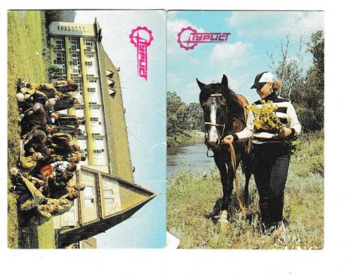 Календарики 1989 Турист, лошадь

