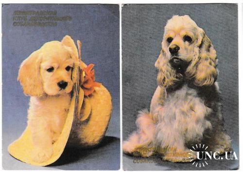 Календарики 1990 Собаки, Клуб декоративного собаководства
