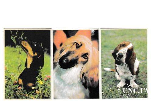 Календарики 1990 Собаки, с линейкой
