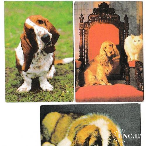 Календарики 1990 Собаки
