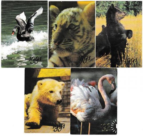 Календарики 1991 Фауна, животные
