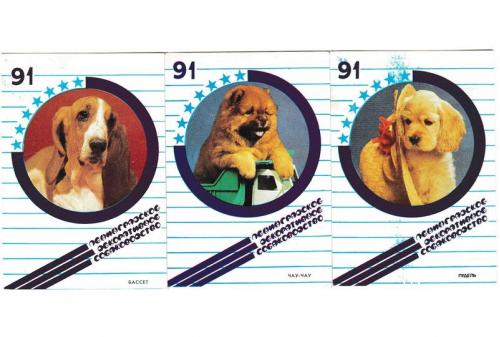 Календарики 1991 Собаки, Ленинградское декоративное собаководство
