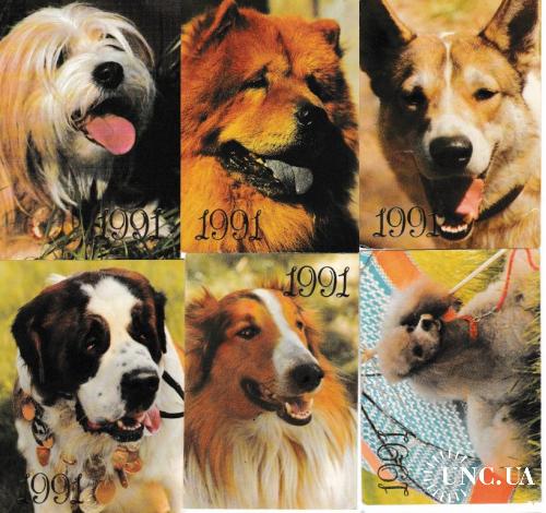 Календарики 1991 Собаки
