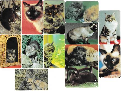 Календарики 1992 Кошки